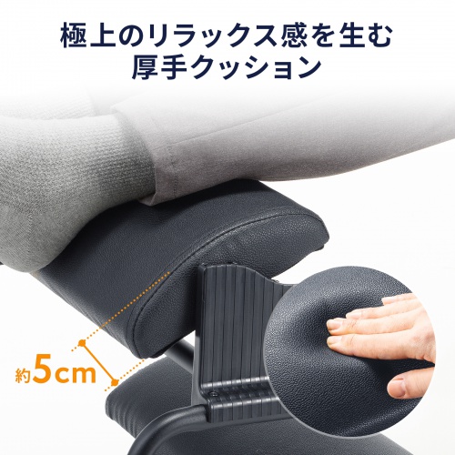 サンワダイレクト本店 サンワサプライ【オフィス・PC周辺通販】