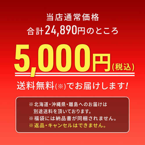 おひとり様1個限り】創業祭2025福袋【返品不可】 OL-000502の
