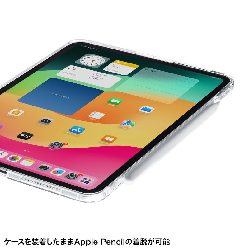 iPad Pro P[XNAP[X n[hP[X  iPad Pro 11C`iM4/2024j PDA-IPAD1702CL2