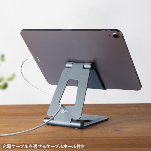 ܂肽ݎ ^ubgX^h A~ iK px 2֐ iPad Switch PDA-STN82GY