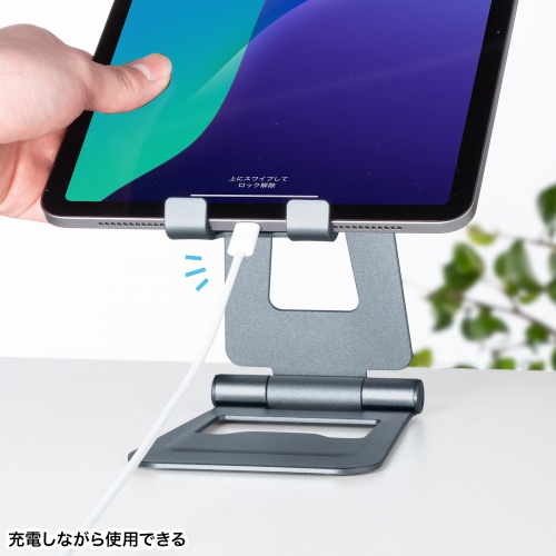 ܂肽ݎ ^ubgX^h A~ iK px 2֐ iPad Switch PDA-STN82GY