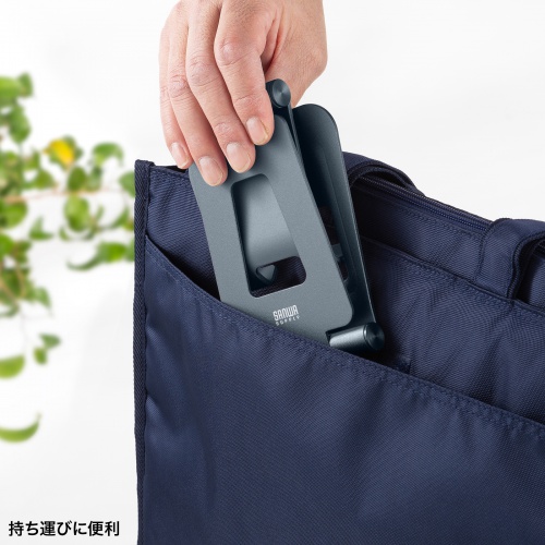 ܂肽ݎ ^ubgX^h A~ iK px 2֐ iPad Switch PDA-STN82GY