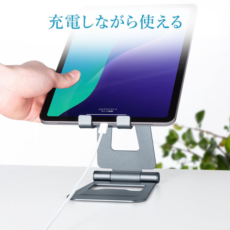 ܂肽ݎ ^ubgX^h A~ iK px 2֐ iPad Switch PDA-STN82GY