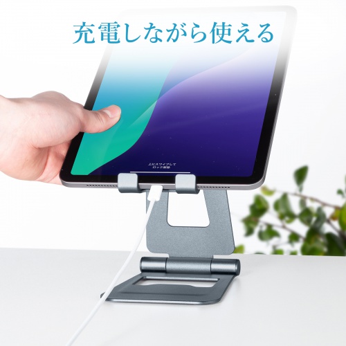 ܂肽ݎ ^ubgX^h A~ iK px 2֐ iPad Switch PDA-STN82GY