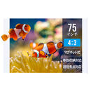 �v���W�F�N�^�[�X�N���[���i�}�O�l�b�g���j