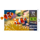 �v���W�F�N�^�[�X�N���[���i�}�O�l�b�g���P�[�X��̌^�j