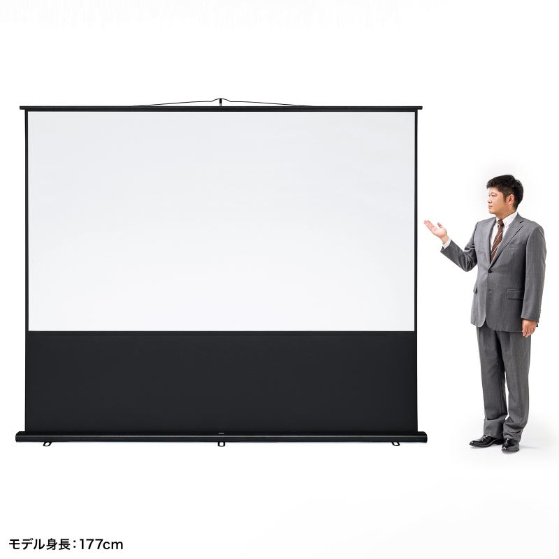 サンワダイレクト本店 サンワサプライ【オフィス・PC周辺通販】