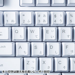 有線キーボード(USB A) テンキーあり メンブレン 日本語配列(JIS) ホワイト SKB-109UWの販売商品 |通販ならサンワダイレクト