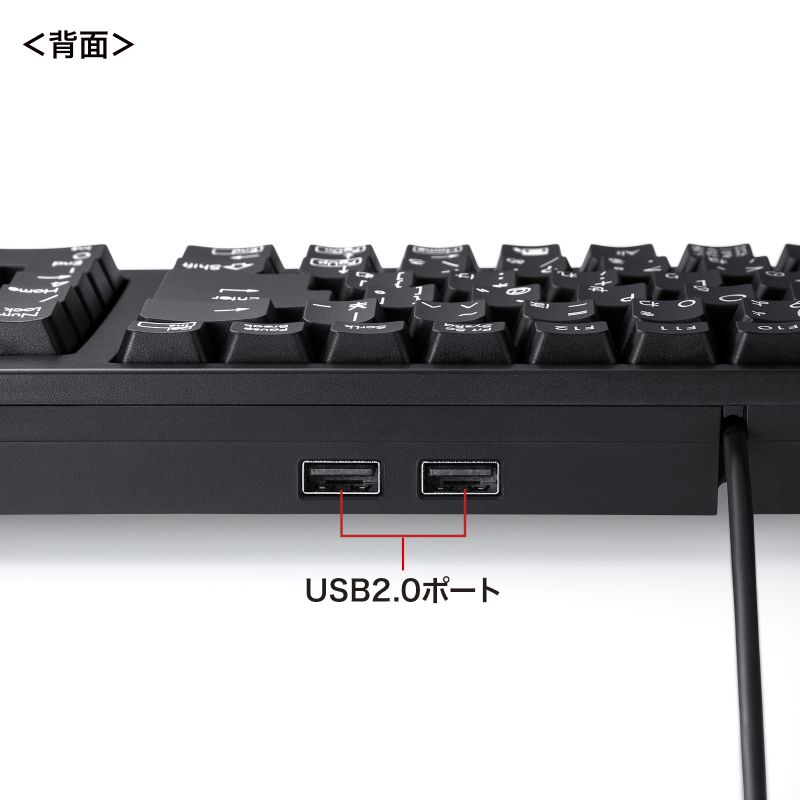 有線キーボード(USB A) USBハブ付き テンキーあり メンブレン 日本語配列(JIS) ブラック SKB-KG2UH2BK