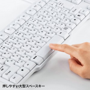 サンワダイレクト本店 サンワサプライ【オフィス・PC周辺通販】