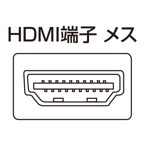 HDMIZN^i2+o1|[gj SW-HD21