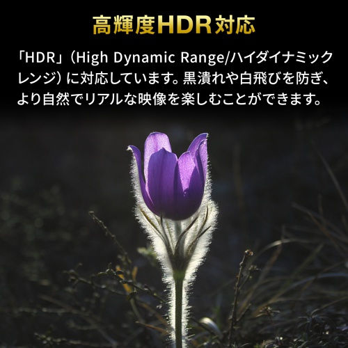 4K/60Hz HDRΉ HDMIؑ֊ 2́E1o͂܂1́E2o SW-HDR21BD
