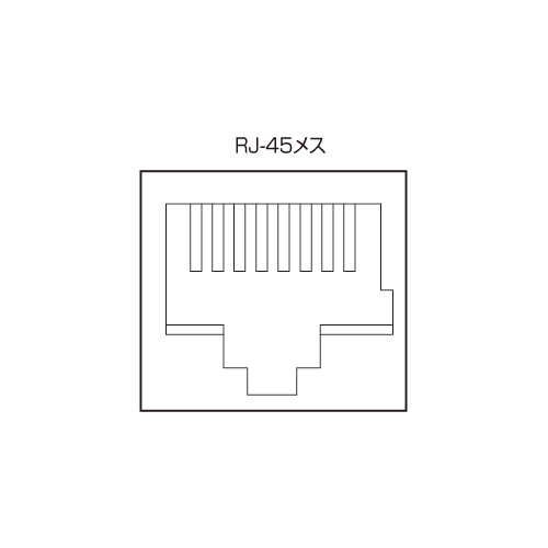 LAN切替器 2回路 電源不要 切替スイッチ RJ-45対応 SW-LAN21の販売商品