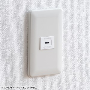 サンワサプライ 埋込コンセント Type-Cx1 PD18W対応 ホワイト TAP-KJC1W 埋込コンセント Type-Cx1 PD18W対応 の販売商品 | 通販なら