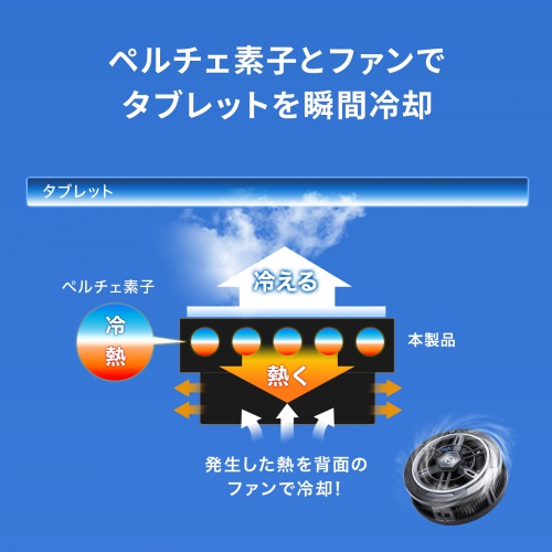 ^ubgN[[ 24Wo y`Ffq xg/}OlbgŒ p RpNg y pt@ USB Type-C TK-CLN31U