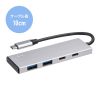 USB TypeC 4|[gnu A~2 C~2 P[ǔ^ USB3.2Gen2Ή 10GbpsΉ A~M Windows Mac iPad Chromebook Ή USB-10TC14SV