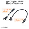 USB Type-C hbLOnuiHDMIELAN|[gEJ[h[_[ځj USB-3TCH14S2