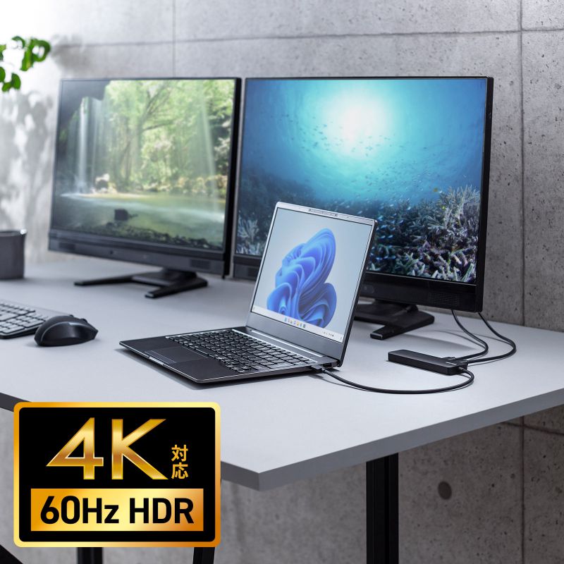 hbLOXe[V Type-C ڑ 5 in 1 HDMI2 2ʏo 4K/60HzΉ PD100W X RpNgUSB A 2 P[u30cm USB-5TCHHPS22BK