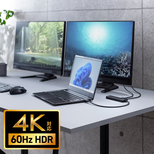 hbLOXe[V Type-C ڑ 5 in 1 HDMI2 2ʏo 4K/60HzΉ PD100W X RpNgUSB A 2 P[u30cm USB-5TCHHPS22BK