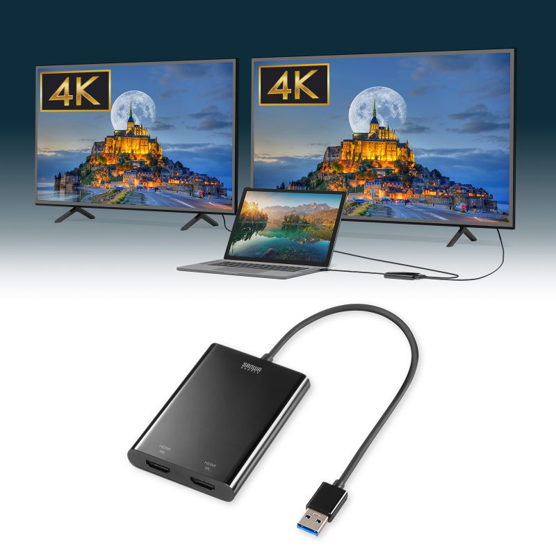 USB-HDMIfBXvCA_v^ 4K/60HzΉ 2ʏo USB-CVU3HD6