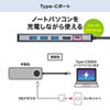 USB3.2 Gen2ΉType-ChbLOXe[V USB-DKM1