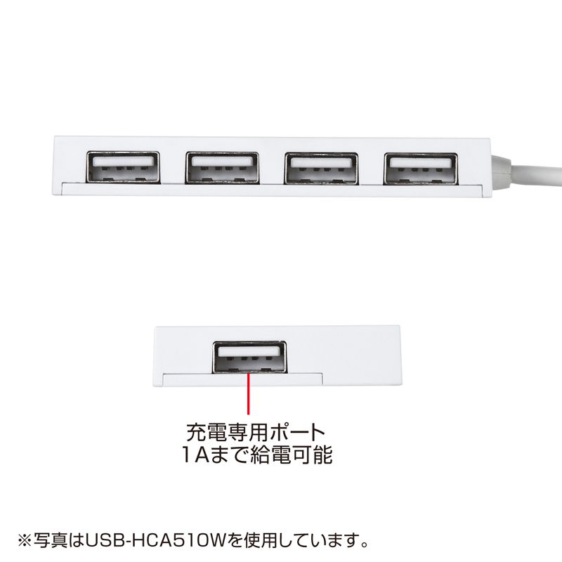 y킯݌ɏz[dpUSB|[g4|[gUSB2.0nuisNj USB-HCA510P