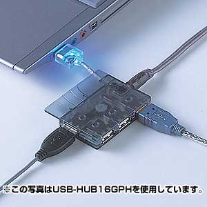 |PbgUSBnu(4|[g) USB-HUB16BL