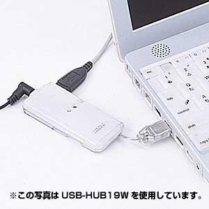 |PbgUSBnu(4|[g) USB-HUB19P