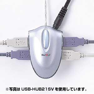 RpNgUSBnu(4|[g) USB-HUB21BL