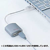 RpNgUSBnu(2|[g) USB-HUBN12PW