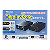 DisplayPortGNXe_[(Zbgf) VGA-EXDP