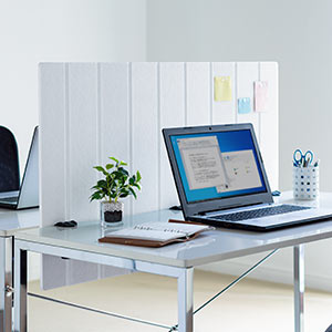 100-DPT005 �f�X�N�p�[�e�[�V����