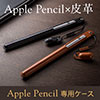 Apple PencilP[Xi{vP[XEpEnhChj