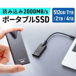 SSD 2TB なら【サンワダイレクト】 SSD 2TB なら【サンワダイレクト】