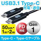 Gen1Ή USB Type-CP[u