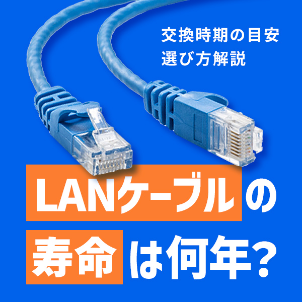 LANP[u͉̎NH̖ڈƑIѕ